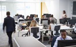 Busy Office.jpg